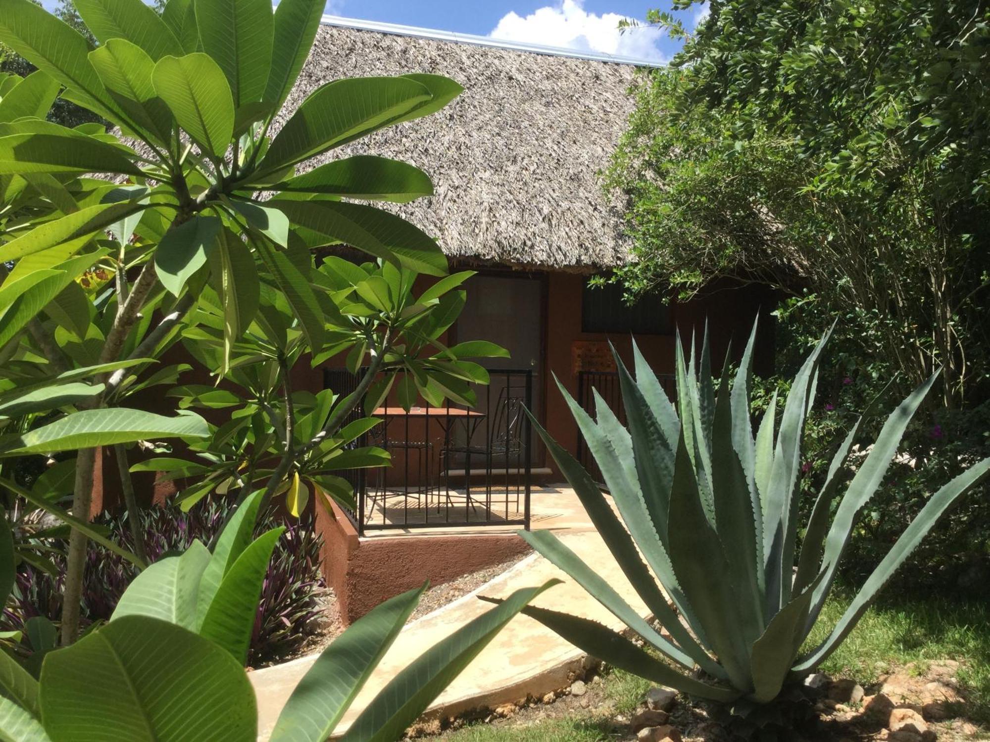 The Pickled Onion B&B And Restaurant Uxmal Santa Elena Zimmer foto