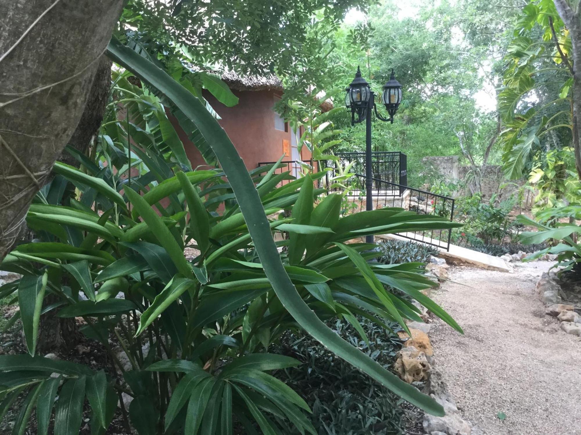 The Pickled Onion B&B And Restaurant Uxmal Santa Elena Zimmer foto